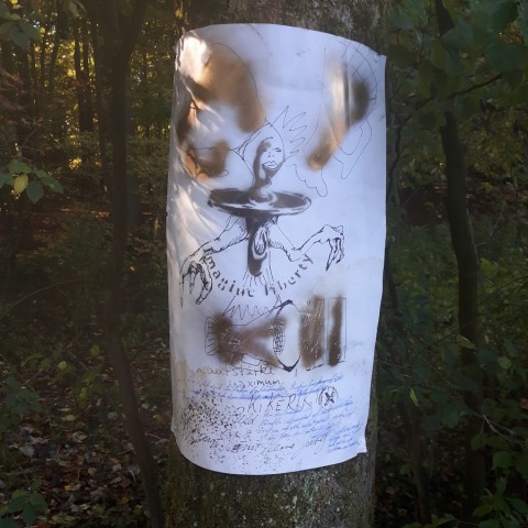 Freilassung fünf Bilder im Fürstbischhöflichen Wald, Tiergarten, Münster Wolbeck. 24.10.2021